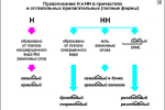 Племянник почему две н