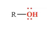 Functional Groups