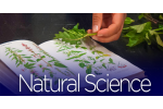 Natural course. Наука natural. Natural Science is. Natural Science какие. Natural Science примеры.