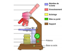 Légender un microscope